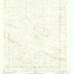 United States Geological Survey Ink Basin, TX (1971, 24000-Scale) digital map