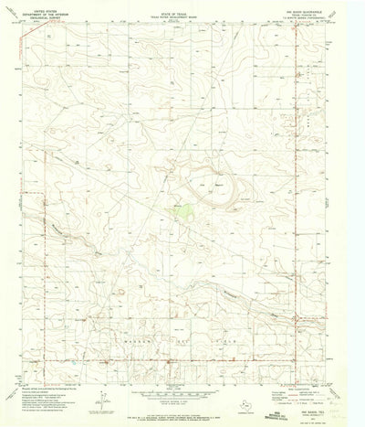 United States Geological Survey Ink Basin, TX (1971, 24000-Scale) digital map