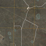 United States Geological Survey Ink Basin, TX (2010, 24000-Scale) digital map