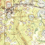 United States Geological Survey Interlachen, FL (1944, 62500-Scale) digital map
