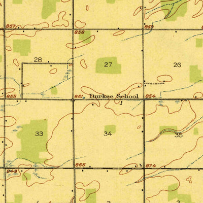 United States Geological Survey Ionia, MI (1918, 62500-Scale) digital map