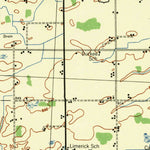 United States Geological Survey Ionia, MI (1943, 62500-Scale) digital map
