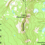 United States Geological Survey Irish Mountain, OR (1963, 24000-Scale) digital map