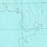 United States Geological Survey Iron Bridge Dam, TX (1980, 24000-Scale) digital map
