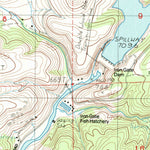 United States Geological Survey Iron Gate Reservoir, CA (1984, 24000-Scale) digital map