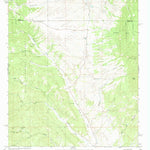 United States Geological Survey Iron Mountain, NM (1965, 24000-Scale) digital map