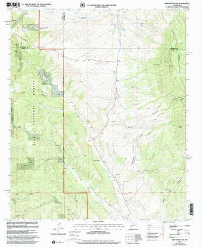 United States Geological Survey Iron Mountain, NM (1999, 24000-Scale) digital map