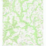 United States Geological Survey Irwins Crossroads, GA (1962, 24000-Scale) digital map