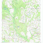 United States Geological Survey Irwinville, GA (1973, 24000-Scale) digital map