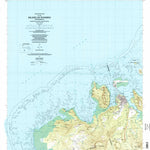 United States Geological Survey Island Of Pohnpei (Northwest), FM (2001, 25000-Scale) digital map