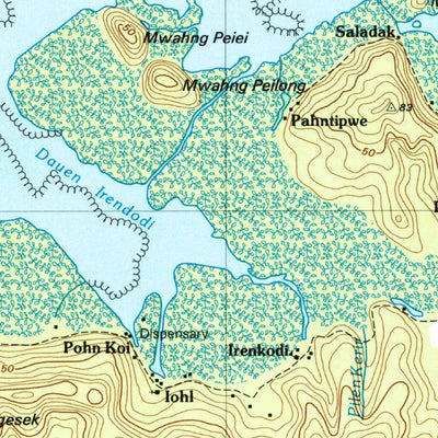 United States Geological Survey Island Of Pohnpei (Northwest), FM (2001, 25000-Scale) digital map