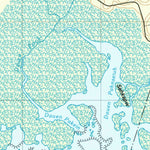 United States Geological Survey Island Of Pohnpei (Southwest), FM (2001, 25000-Scale) digital map