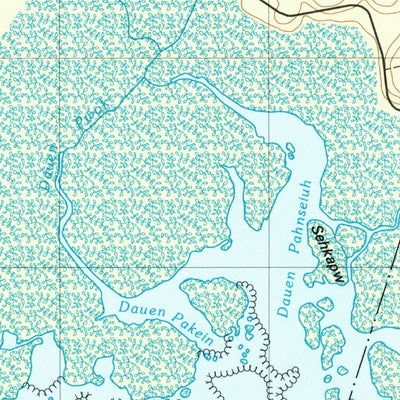 United States Geological Survey Island Of Pohnpei (Southwest), FM (2001, 25000-Scale) digital map