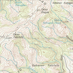 United States Geological Survey Island Of Saipan, MP (1999, 25000-Scale) digital map