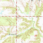 United States Geological Survey Iuka, IL (1965, 24000-Scale) digital map
