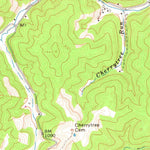 United States Geological Survey Ivydale, WV (1966, 24000-Scale) digital map