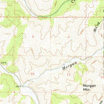 United States Geological Survey Izee, OR (1961, 62500-Scale) digital map