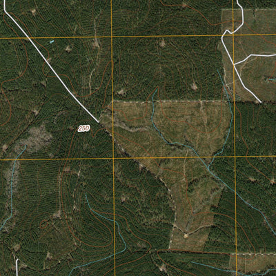 United States Geological Survey Jacks Creek North, TX (2010, 24000-Scale) digital map