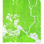 United States Geological Survey Jackson River, FL (1945, 24000-Scale) digital map