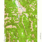 United States Geological Survey Jackson, WY (1931, 125000-Scale) digital map