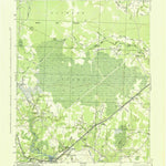 United States Geological Survey Jacksonville, NC (1943, 62500-Scale) digital map
