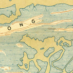 United States Geological Survey James Island, SC (1919, 21120-Scale) digital map