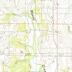 United States Geological Survey Jameson, MO (1984, 24000-Scale) digital map