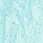 United States Geological Survey Jamesville, VA (1968, 24000-Scale) digital map
