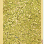 United States Geological Survey Jarratt, VA (1919, 62500-Scale) digital map