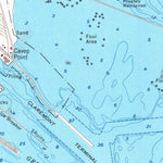 United States Geological Survey Jersey City, NJ-NY (1955, 24000-Scale) digital map