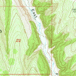United States Geological Survey Jessup Gulch, CO (1952, 24000-Scale) digital map