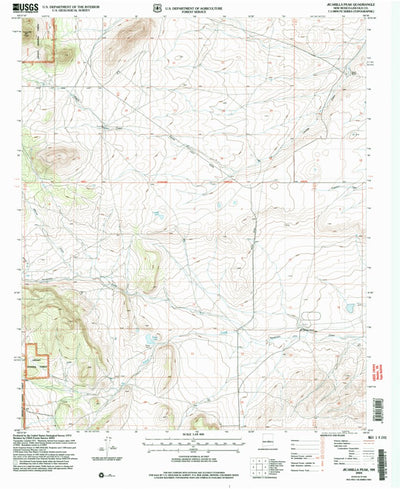 United States Geological Survey Jicarilla Peak, NM (2004, 24000-Scale) digital map