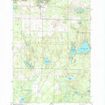 United States Geological Survey Johannesburg, MI (1950, 24000-Scale) digital map