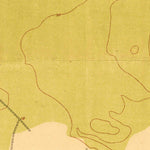 United States Geological Survey Johns Island, SC (1919, 21120-Scale) digital map