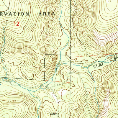 United States Geological Survey Johnson Shut-Ins, MO (1999, 24000-Scale) digital map
