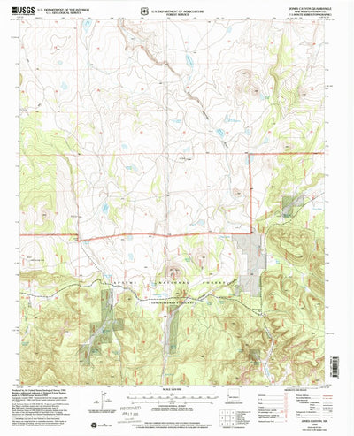 United States Geological Survey Jones Canyon, NM (1999, 24000-Scale) digital map