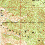 United States Geological Survey Joshua Tree, CA (1955, 62500-Scale) digital map
