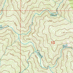 United States Geological Survey Junction Mountain, ID (1994, 24000-Scale) digital map