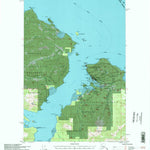 United States Geological Survey Juneau A-5, AK (1994, 63360-Scale) digital map