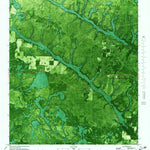 United States Geological Survey Juniper Creek, FL (1982, 24000-Scale) digital map
