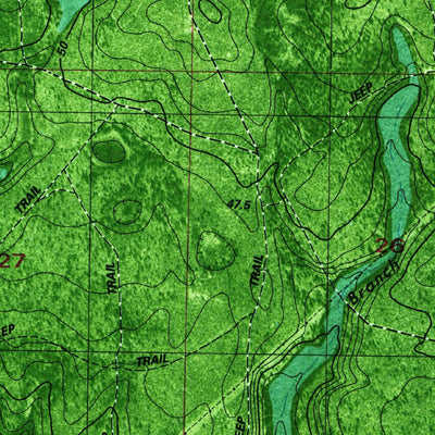 United States Geological Survey Juniper Creek, FL (1982, 24000-Scale) digital map