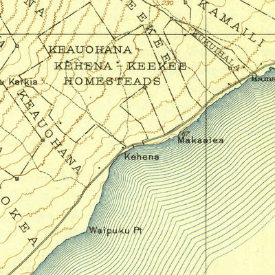 United States Geological Survey Kalapana, HI (1924, 62500-Scale) digital map