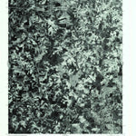 United States Geological Survey Kernersville, NC (1977, 24000-Scale) digital map