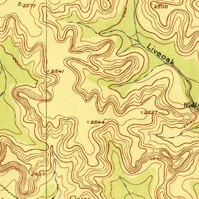 United States Geological Survey Ketchum Mountain, TX (1923, 62500-Scale) digital map