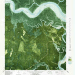 United States Geological Survey Kingsland NE, GA (1979, 24000-Scale) digital map