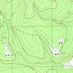 United States Geological Survey Kirkpatrick Lake, TX (1984, 24000-Scale) digital map
