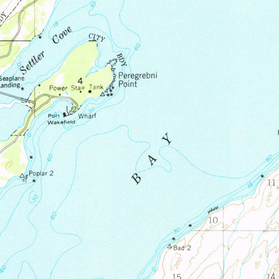 United States Geological Survey Kodiak D-3, AK (1947, 63360-Scale) digital map