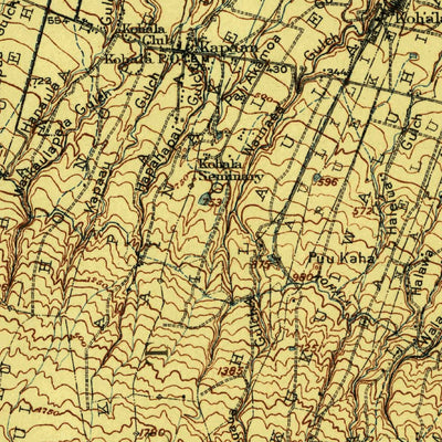 United States Geological Survey Kohala, HI (1916, 62500-Scale) digital map