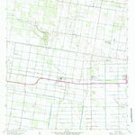 United States Geological Survey La Blanca, TX (1963, 24000-Scale) digital map