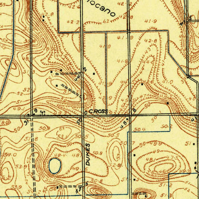 United States Geological Survey La Feria, TX (1929, 24000-Scale) digital map